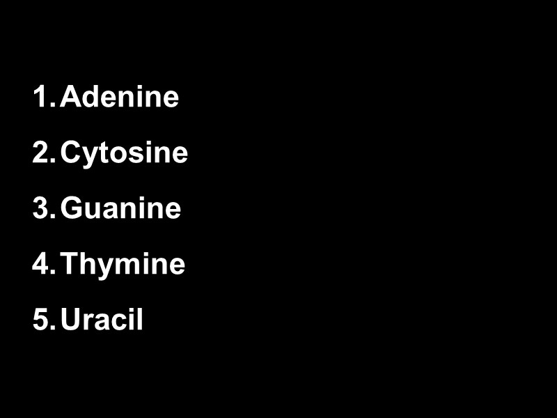 Adenine Cytosine Guanine Thymine Uracil